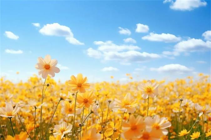 新学期【良言妙语】可以讲给学生听(图1)