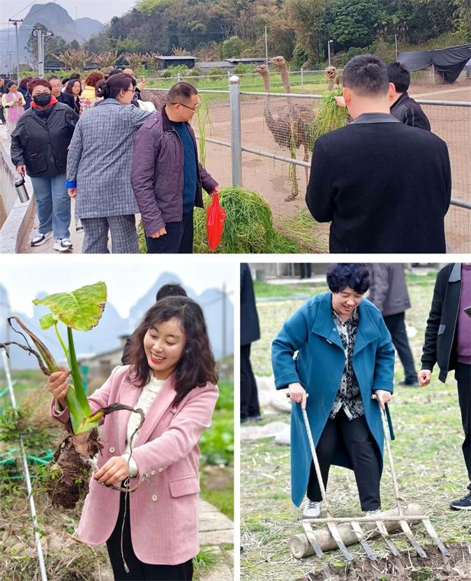 2024全国中小学学习力发展论坛胜利闭幕,一起来回顾(图12)